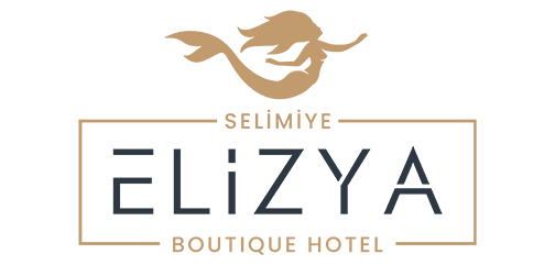 Elizya Logo